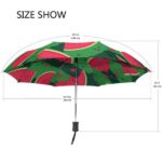 design watermelon umbrella