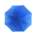 clown fish straight umbrella