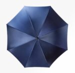 daiqing blue long handle umbrella