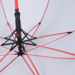 coloured frame umbrella