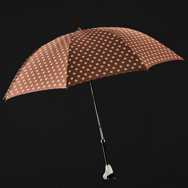 french fighting dog spotted umbrella